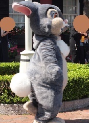 とんすけには4匹の妹がいた ダッフィーに着せよう ディズニーキャラクター衣装